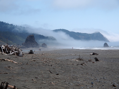 [The foregound is clear, but the background is full of fog with the hillside popping through it. One can see sand and some driftwood in the foreground and a little bit of the ocean which then disappears into the fog.]